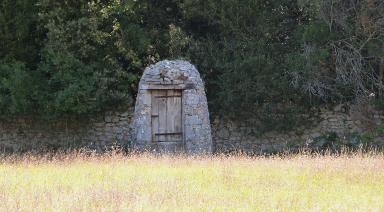 Puits au Château de Javon