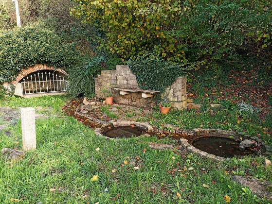 Puits fontaine