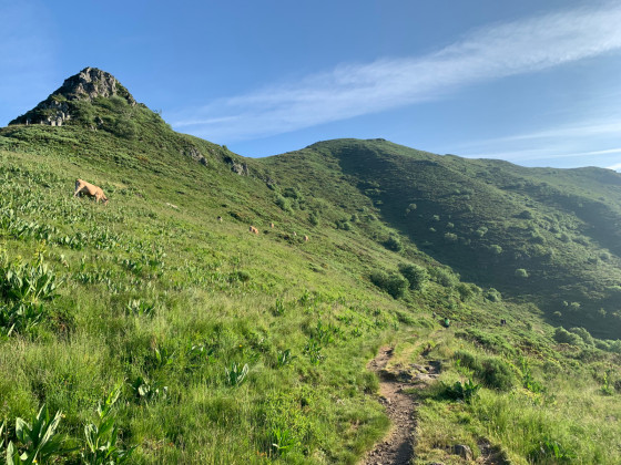 Puy Bataillouse