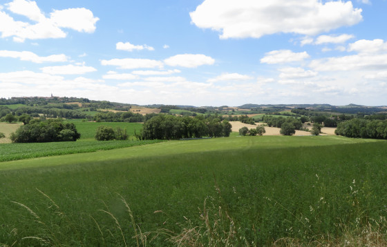 Puylaurens sur sa butte