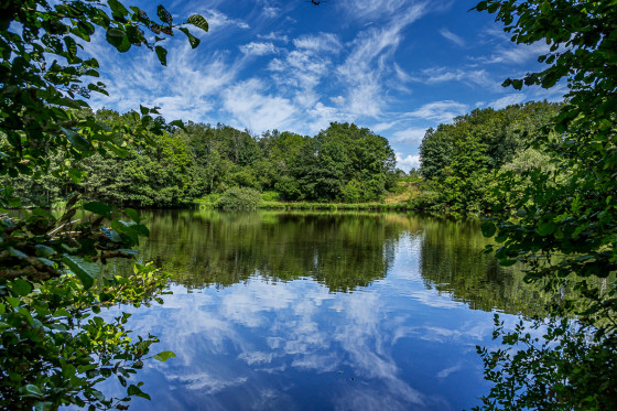 Quand le ciel se reflète dans l'eau