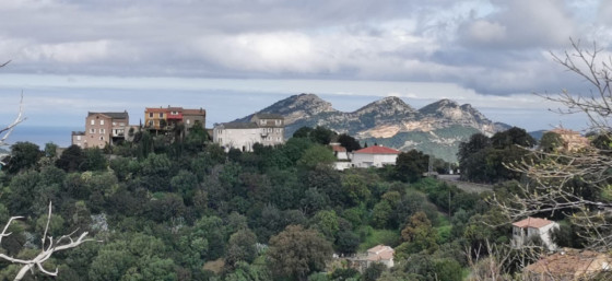Quartier du Monticello à Poggio d'Oletta