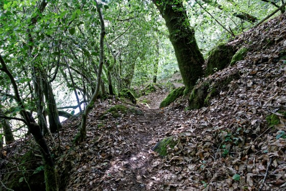 Quel chemin !