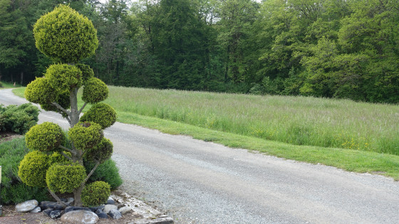 Quel talent de sculpteur