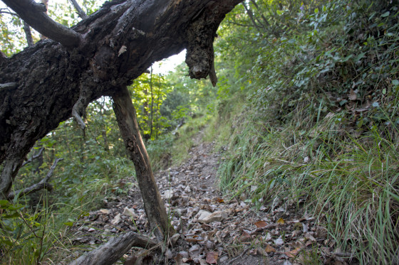 Quelques difficultés sur le chemin