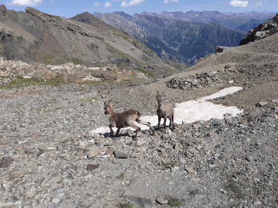 Quelques habitants du coin