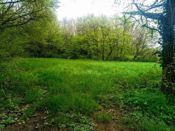 quelques photos