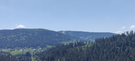 Quelques photos