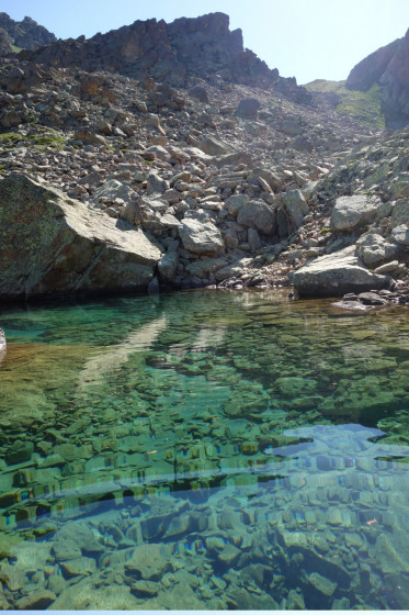 Rafraîchissante eau