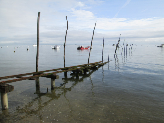 Rails de mise à l'eau