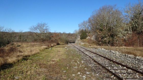 Rails