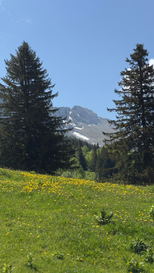 Rando au col vert