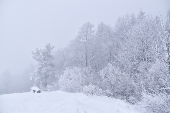 Rando raquette sympathique Rando raquette sympathique
