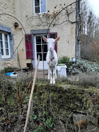 Randonnée en boucle au départ d'Omezée - le plus petit village de Belgique