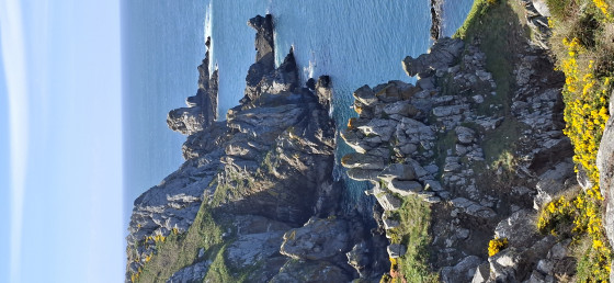 Randonnée sur la pointe du Van