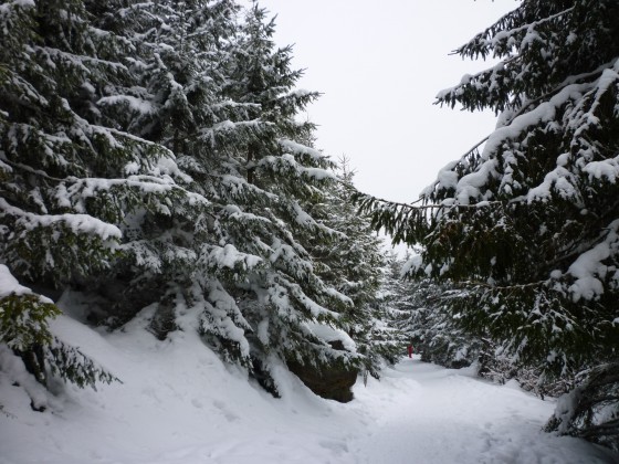 Neige