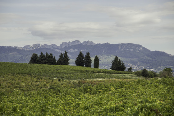 Rasteau les Dentelles de Montmirail