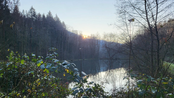 Rastplatz am Waldsee