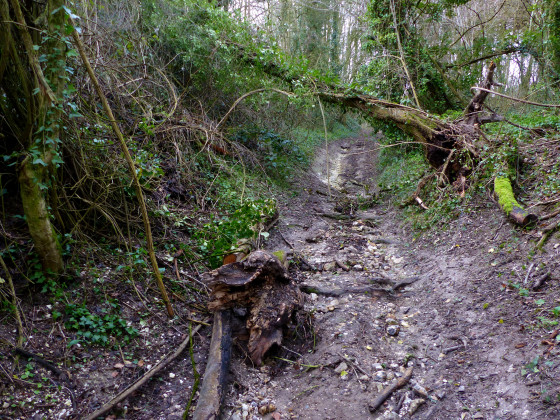 Ravine en point 5