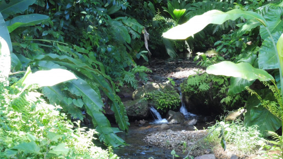 Ravine Guy Ballaou