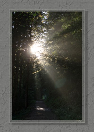 Rayons de soleil