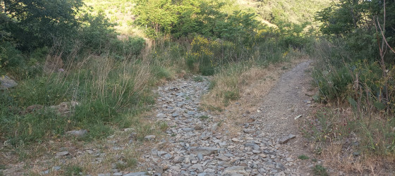 Rec de Barlanda