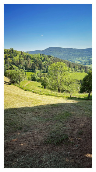 Redescente depuis le col des Bagenelles