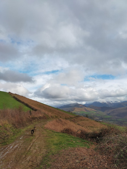Redescente du Col