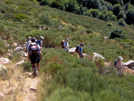 Redescente vers le ruisseau de la Courbeyre