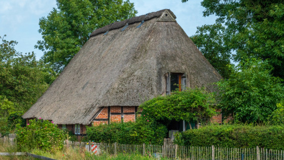 Reetdachhaus in Holzbunge