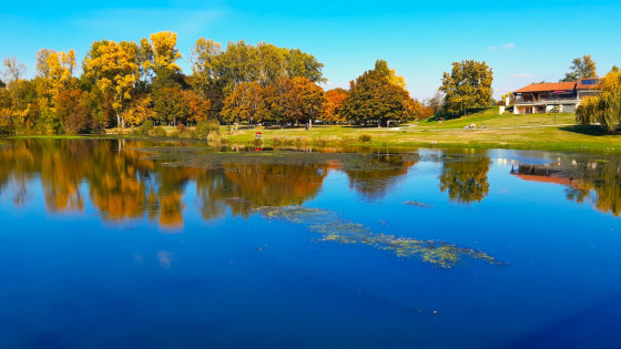 Reflet d\'automne