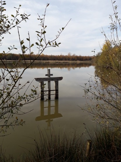 Reflets d'automne sur la surface de l'étang
