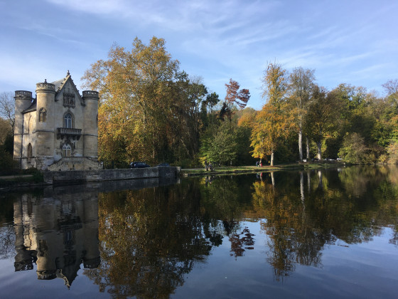 Reflets dans l\'étang