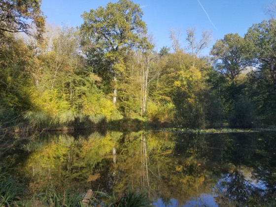 Reflets