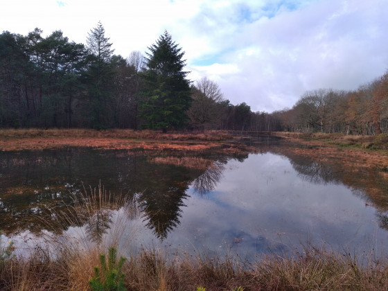 Reflets