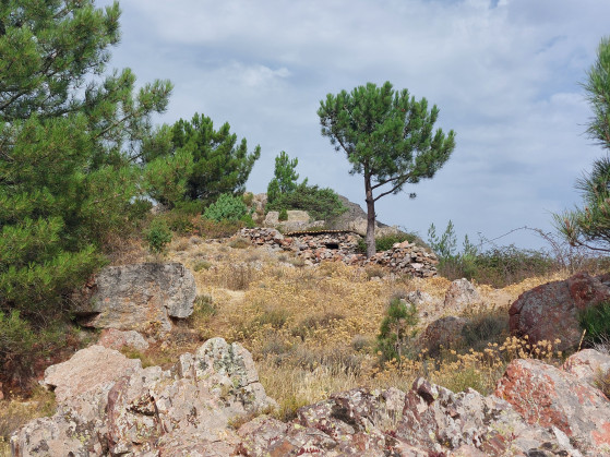refuge / cabane de berger