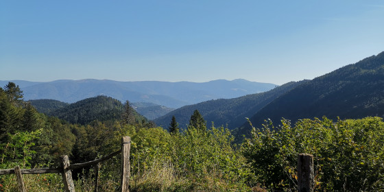 Refuge du Gazon Vert