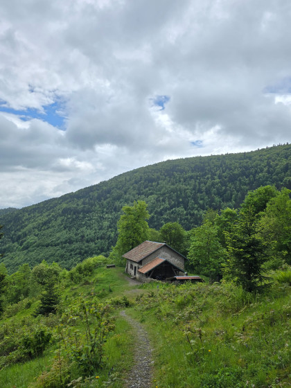 Refuge du Gazon Vert
