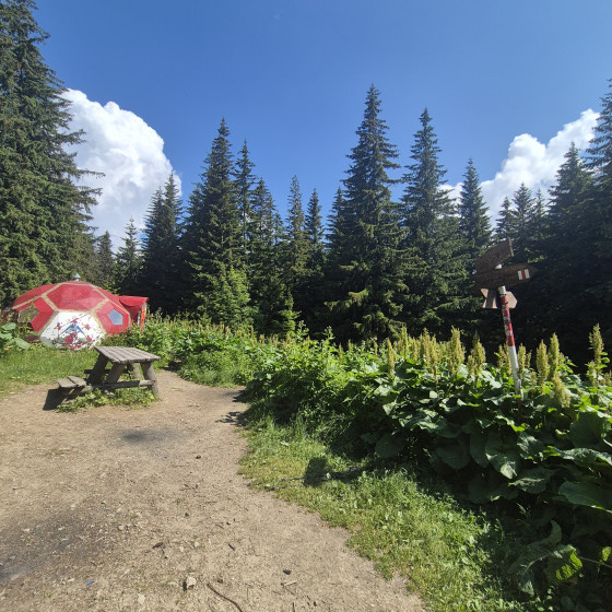 Refuge Spirla