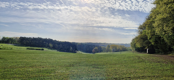 Regard sur la vall&eacute;e