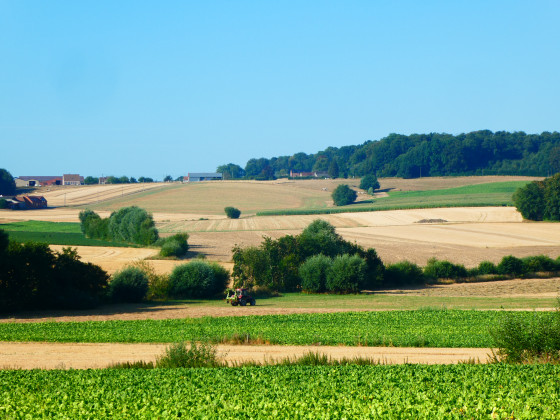 Région vouée à l'agriculture