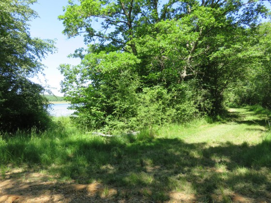 rejoindre le chemin principal