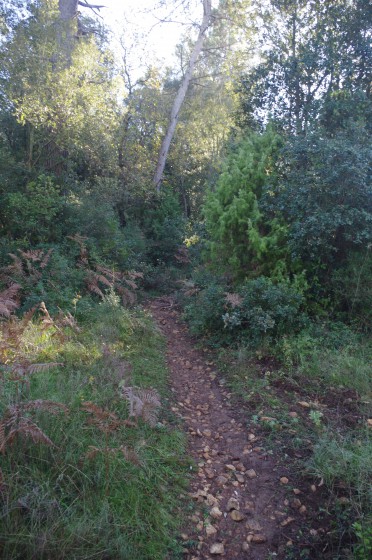 Remontée sur le plateau