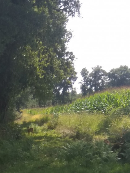 Rencontre au détour du chemin
