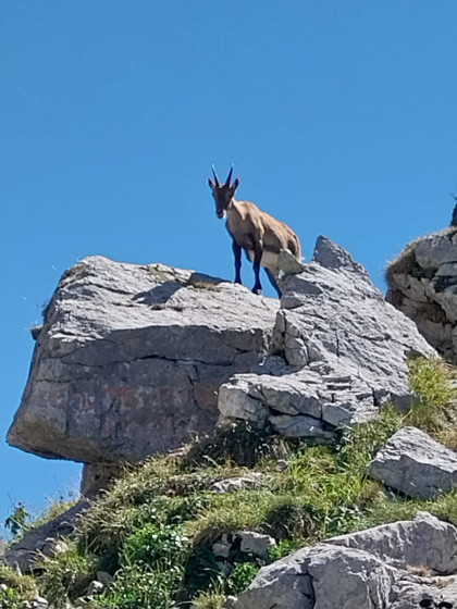 Rencontre aux Portes d'Oche