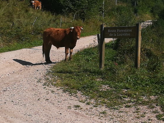 Rencontre étrange au pont de la marguerite