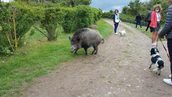Rencontre insolite
