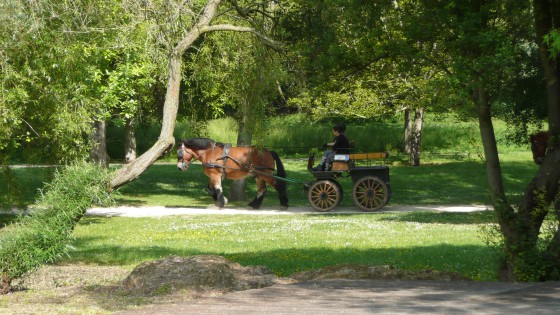 Rencontre insolite