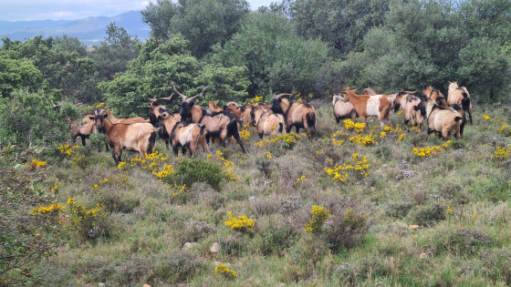 Rencontre sympathique en cours de route