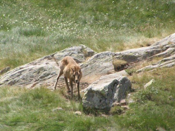 Rencontre